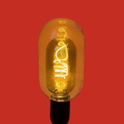 Ampoule décorative 2 en 1