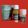 Sheenplus RUBIO
